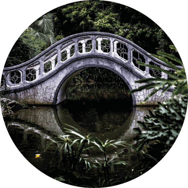 Digital asset